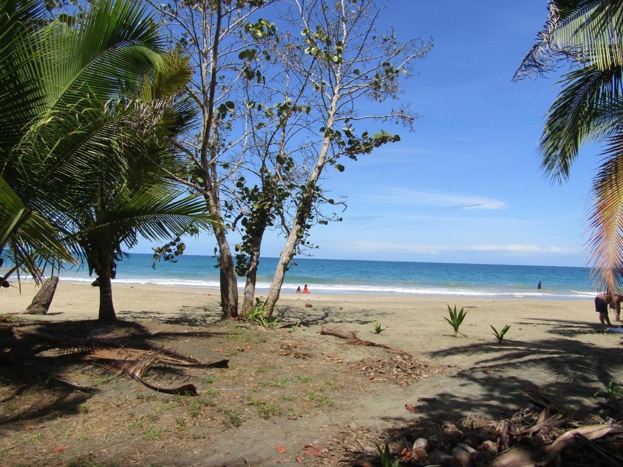 Villa Pineapple House Manzanillo Exterior foto