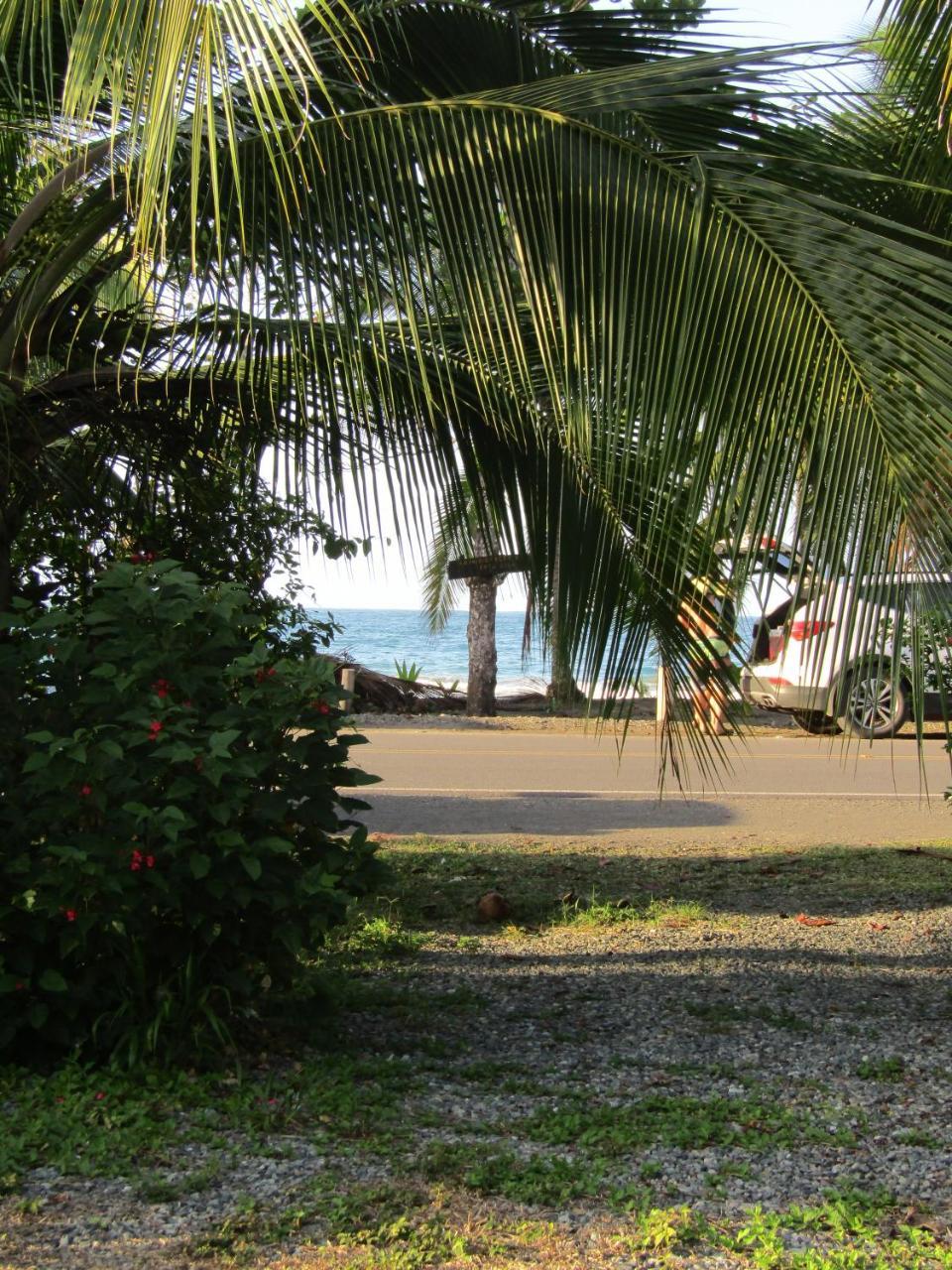 Villa Pineapple House Manzanillo Exterior foto